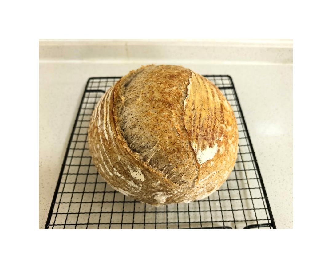 波兰种法式欧包——免揉简单易操作