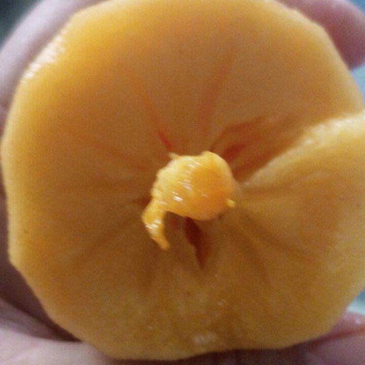 脆柿子
