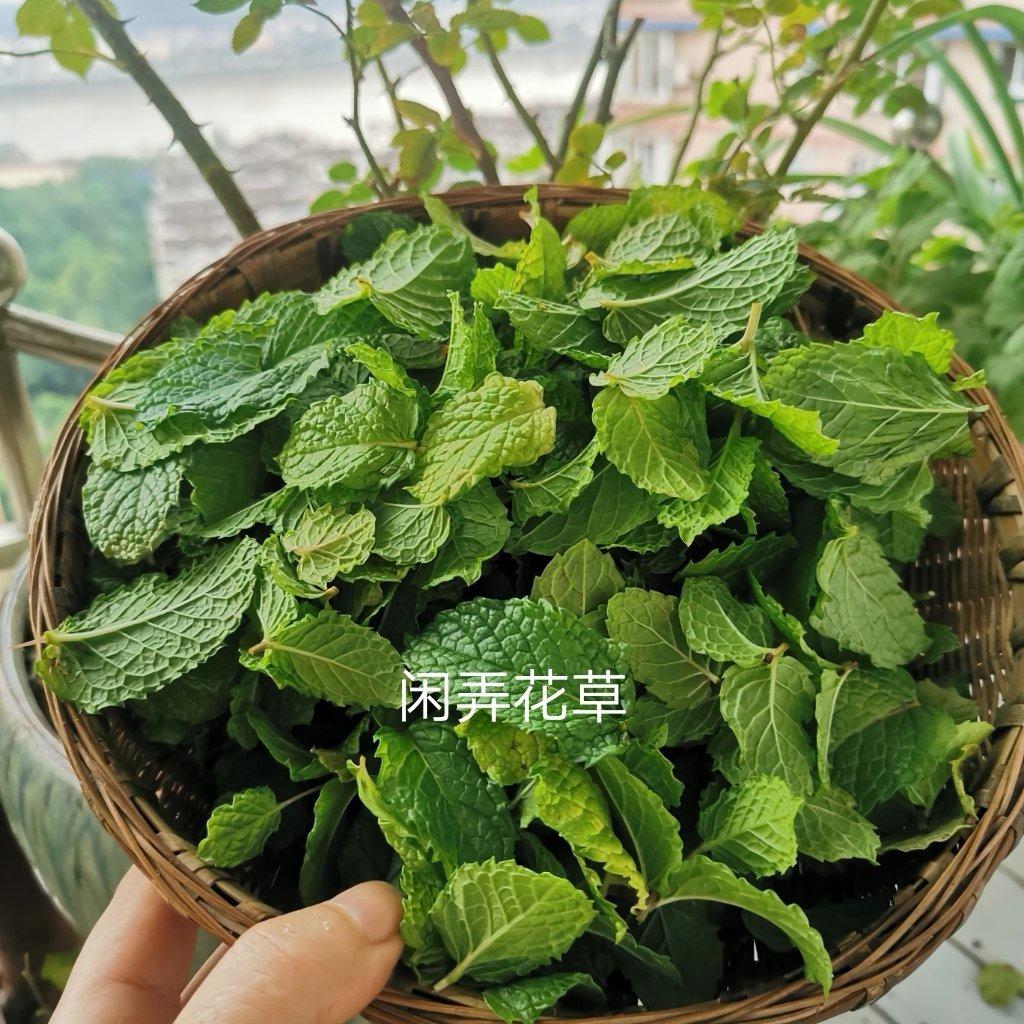 家有萌娃的麻麻都需要这样一瓶薄荷膏