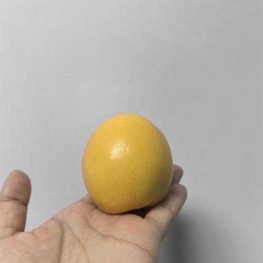 贺佳蓓