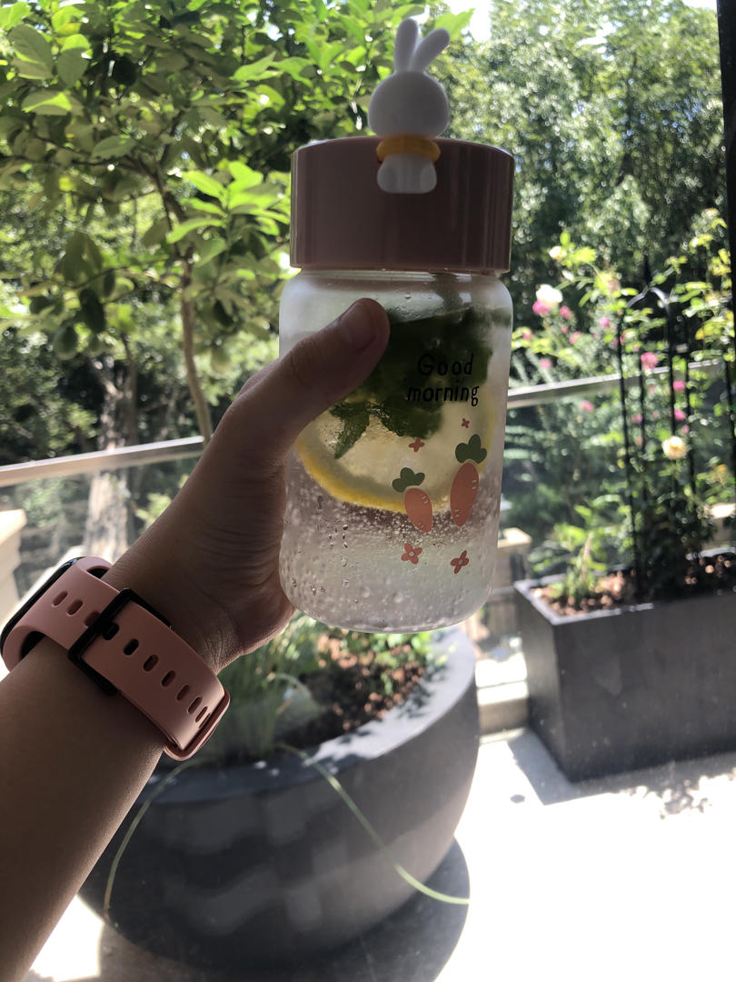 快乐水之莫吉托