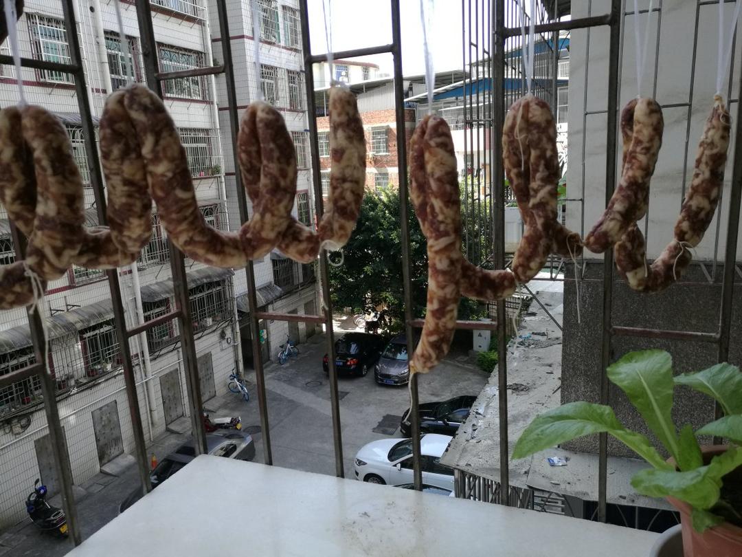 自制广味腊肠