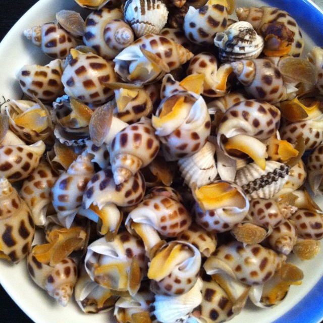 hq19830811做的白灼花螺