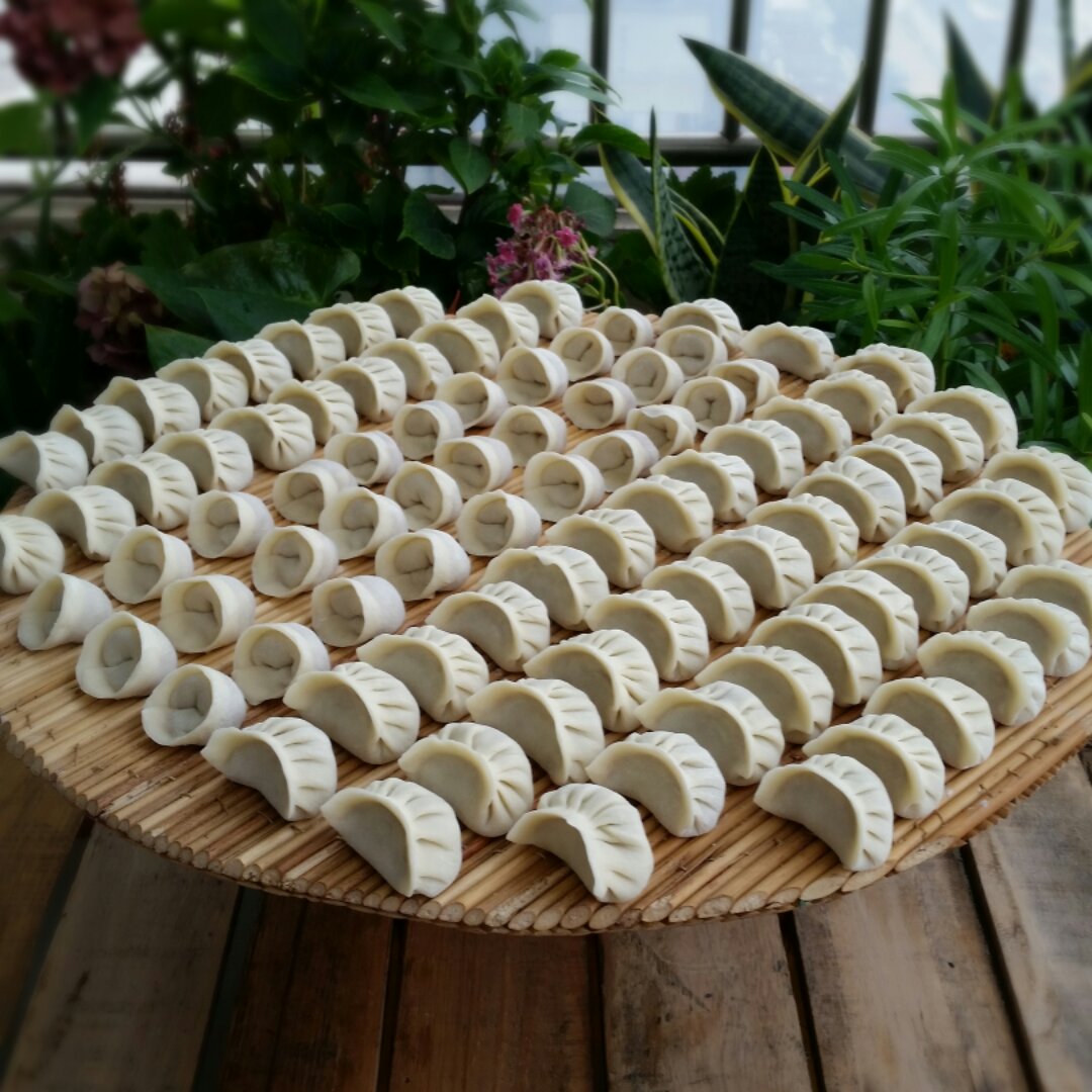 爱吃de兔子做的方瓜猪肉水饺