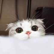 大大世界小小旭