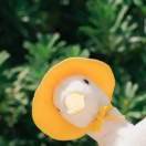 抢饭第一名是我