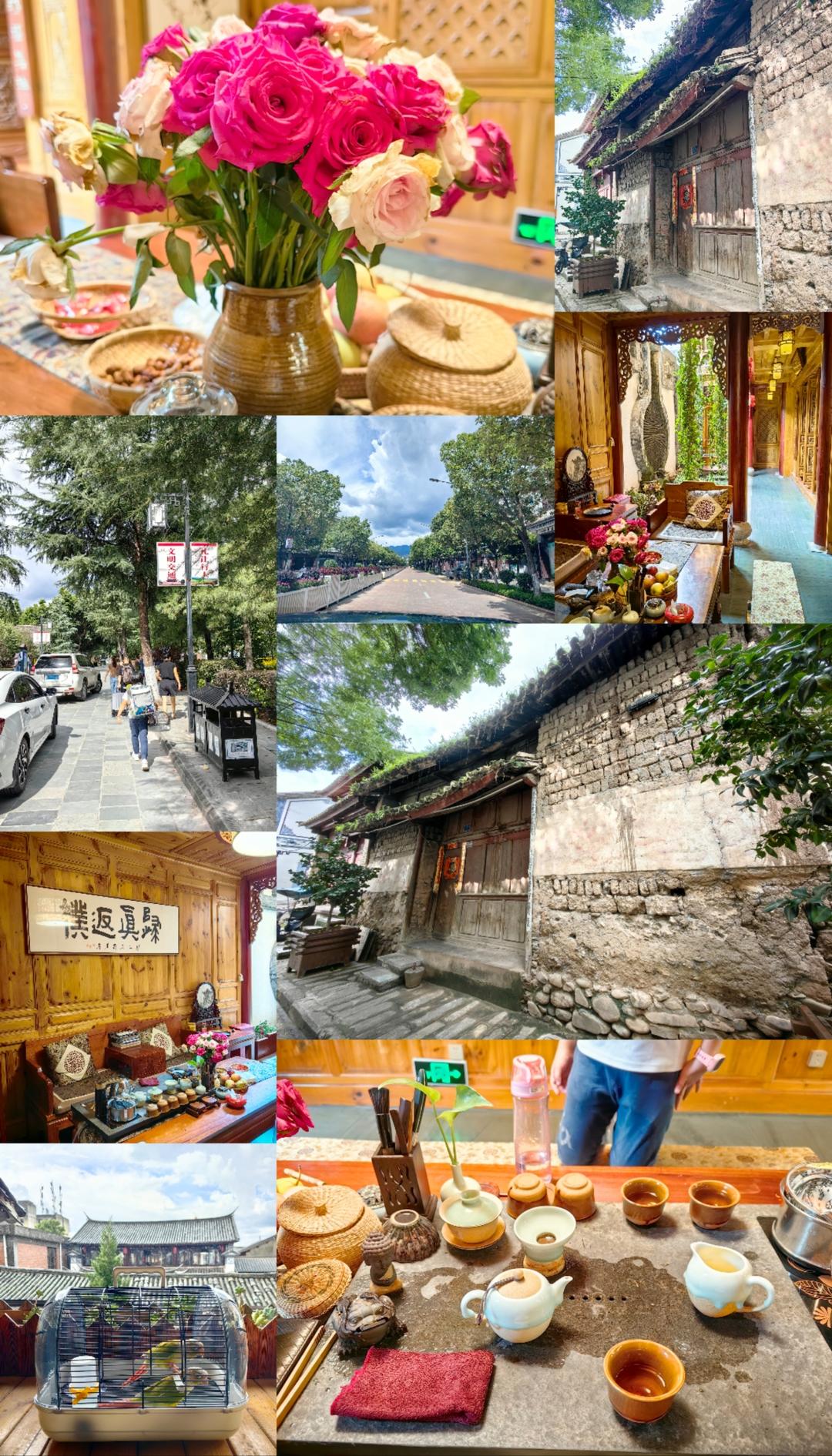 小猪佩奇中狗爷爷的番茄沙拉菜谱