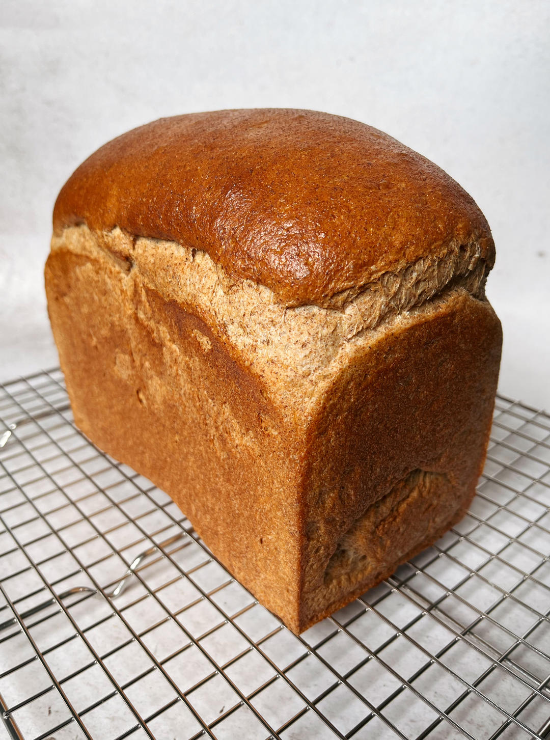 双种芝麻全麦吐司 100%全麦 烫种+波兰种