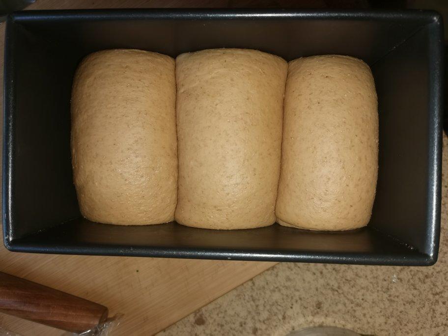 手揉全麦吐司🍞（轻松到哭泣的💧水合法）