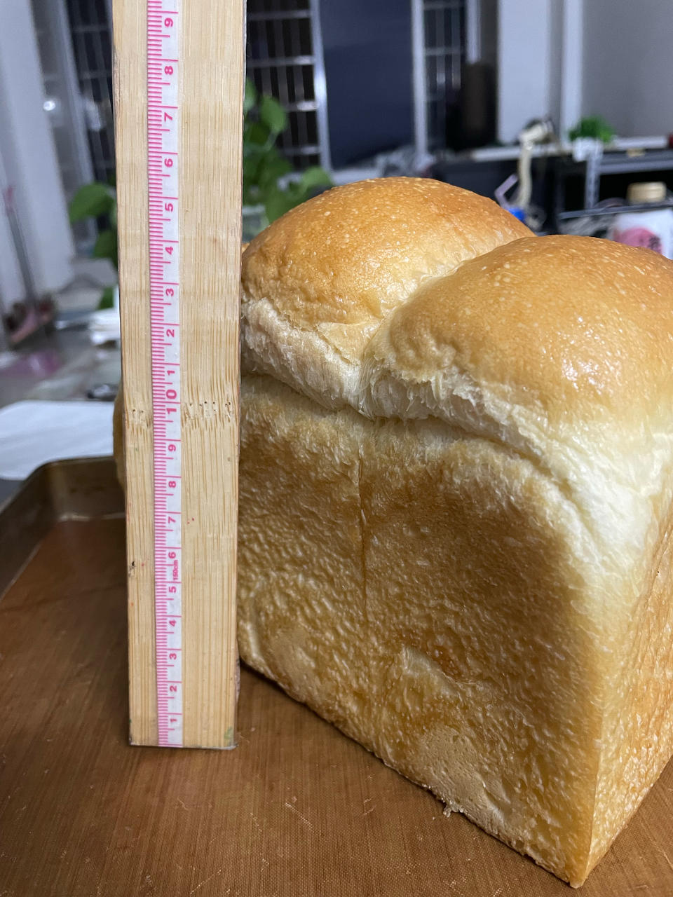中种面包记录