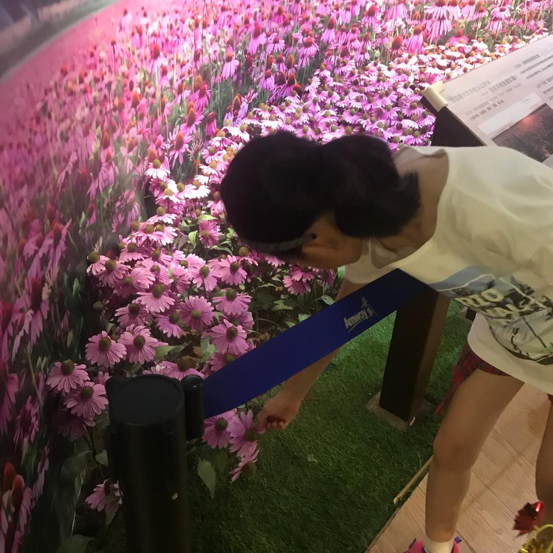 飞渡妈妈