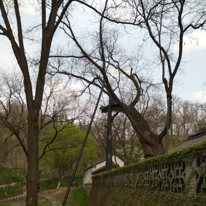 雨后不会有彩虹只有水湾