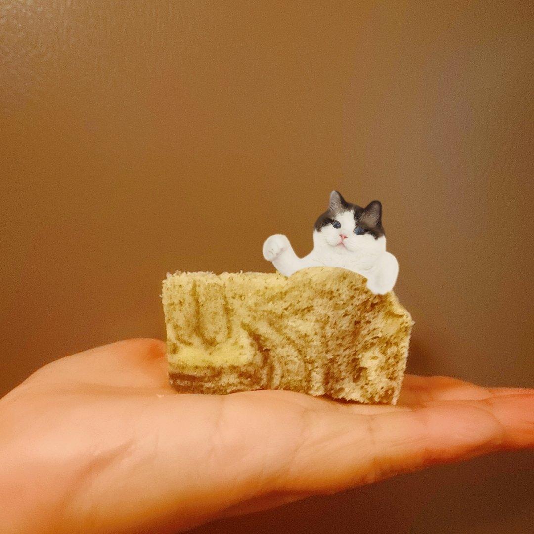 《Tinrry+》养生黑米蒸蛋糕（6寸配方）