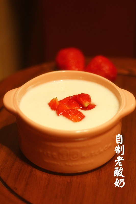 自制老酸奶