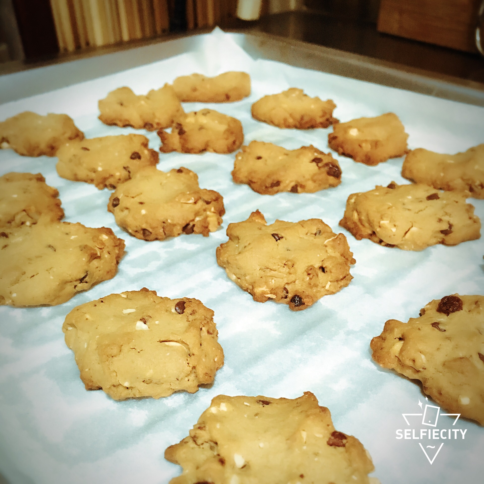 巧克力奇普饼干