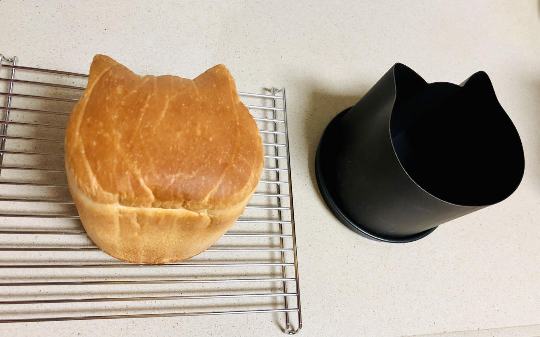 真·柔软猫·酸奶吐司
