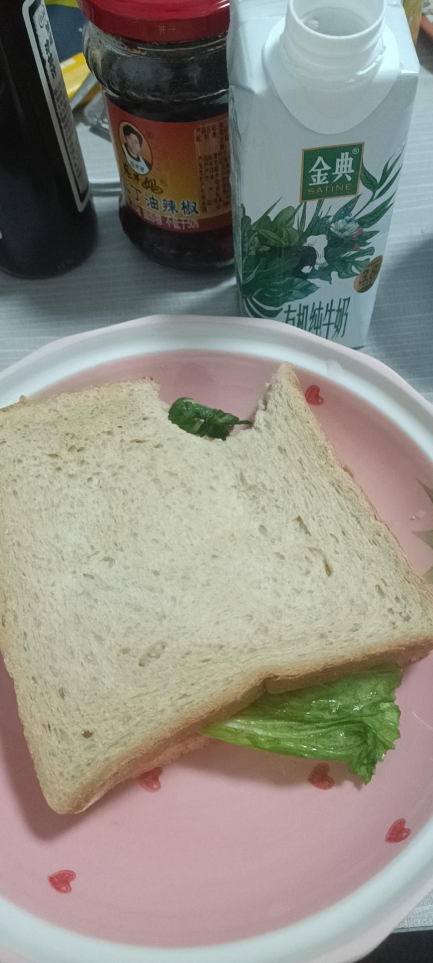 三明治+纯牛奶