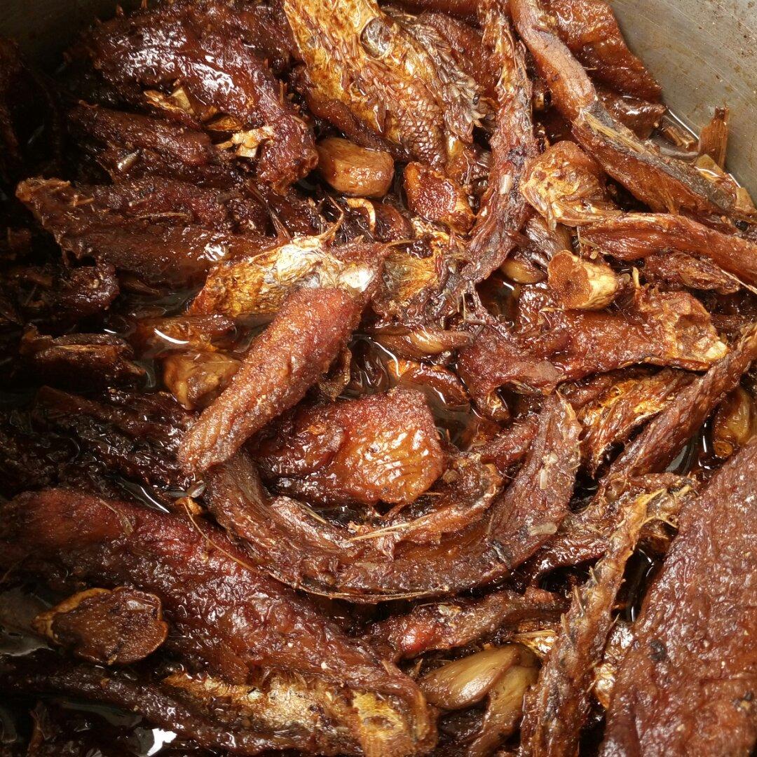 kd狮子做的2016年12月04日