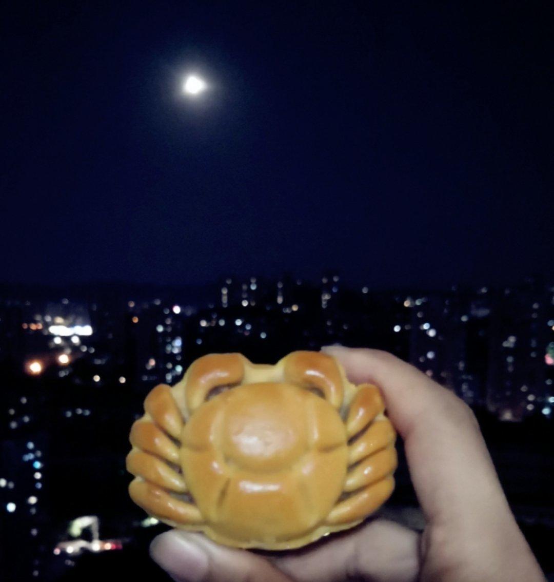 咸蛋黄肉松月饼