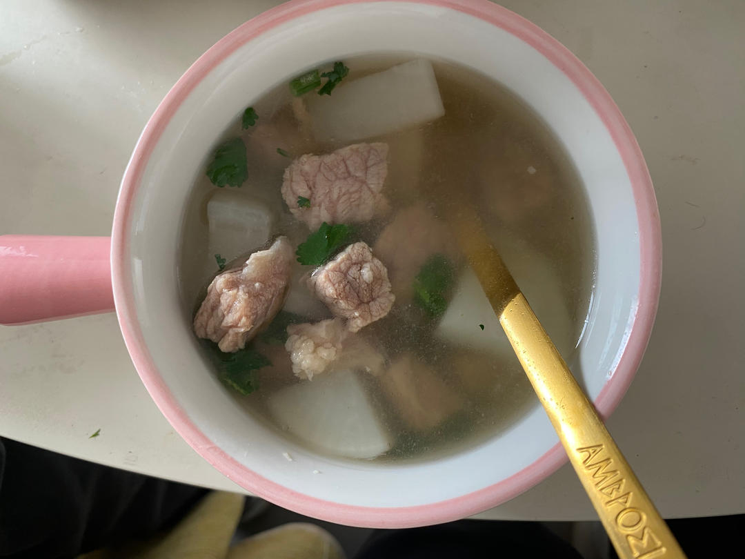 清炖萝卜牛腩汤（铸铁锅版）