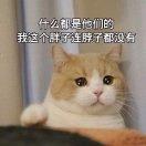 西西变瘦中