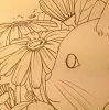 Pan_214