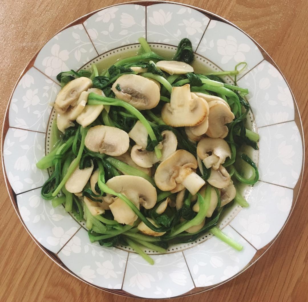 波波的布娃娃做的蘑菇炒青菜