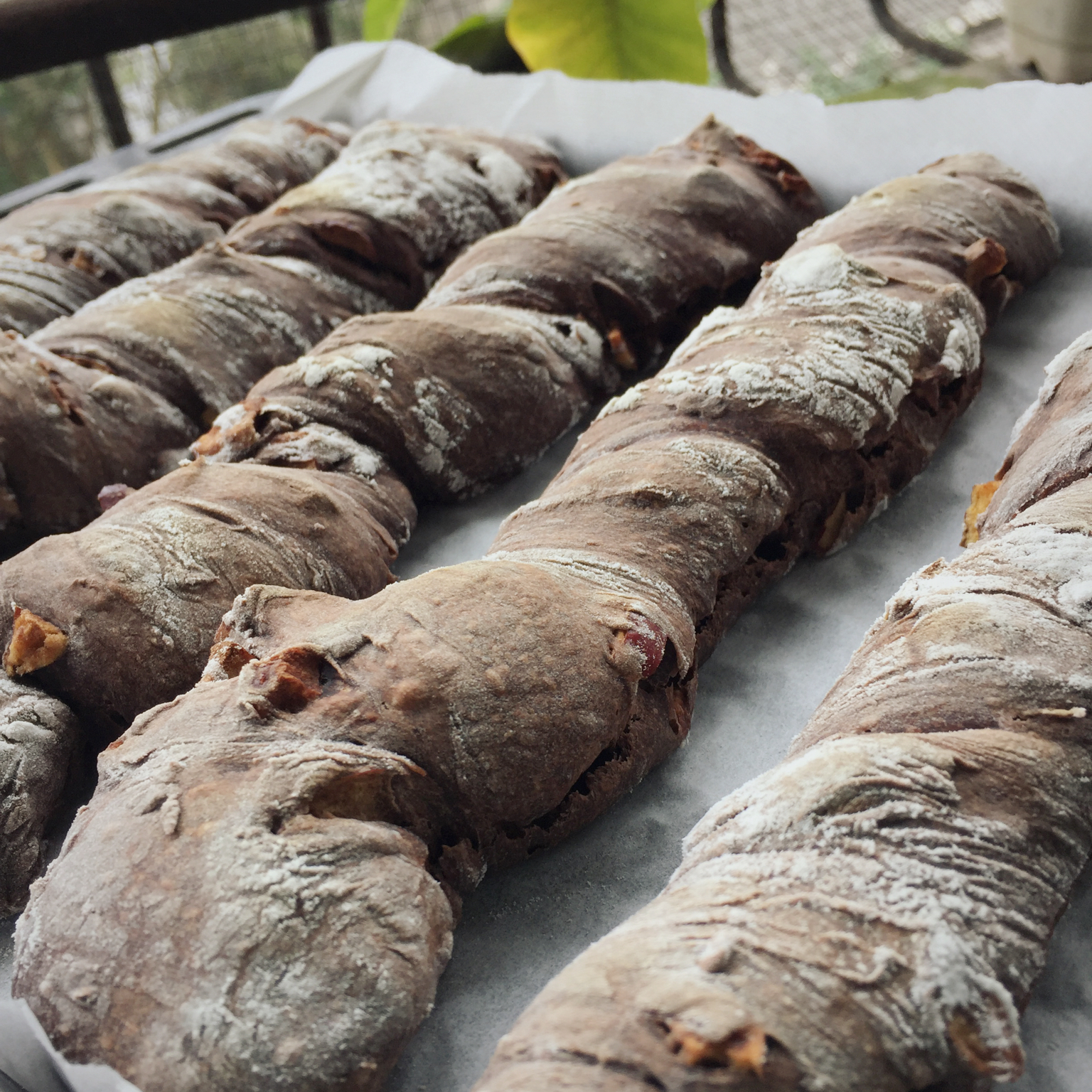 米歇尔可可面包（林大厨的手拌巧克力面包）