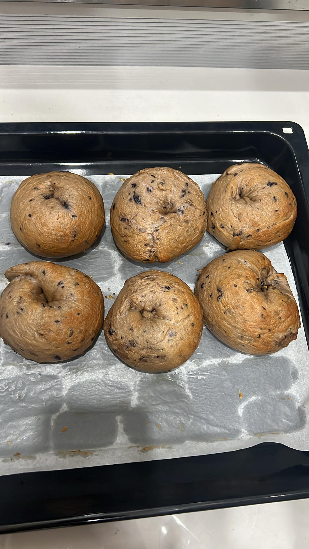 蓝莓🫐乳酪贝果🥯/步骤详细/简单好做