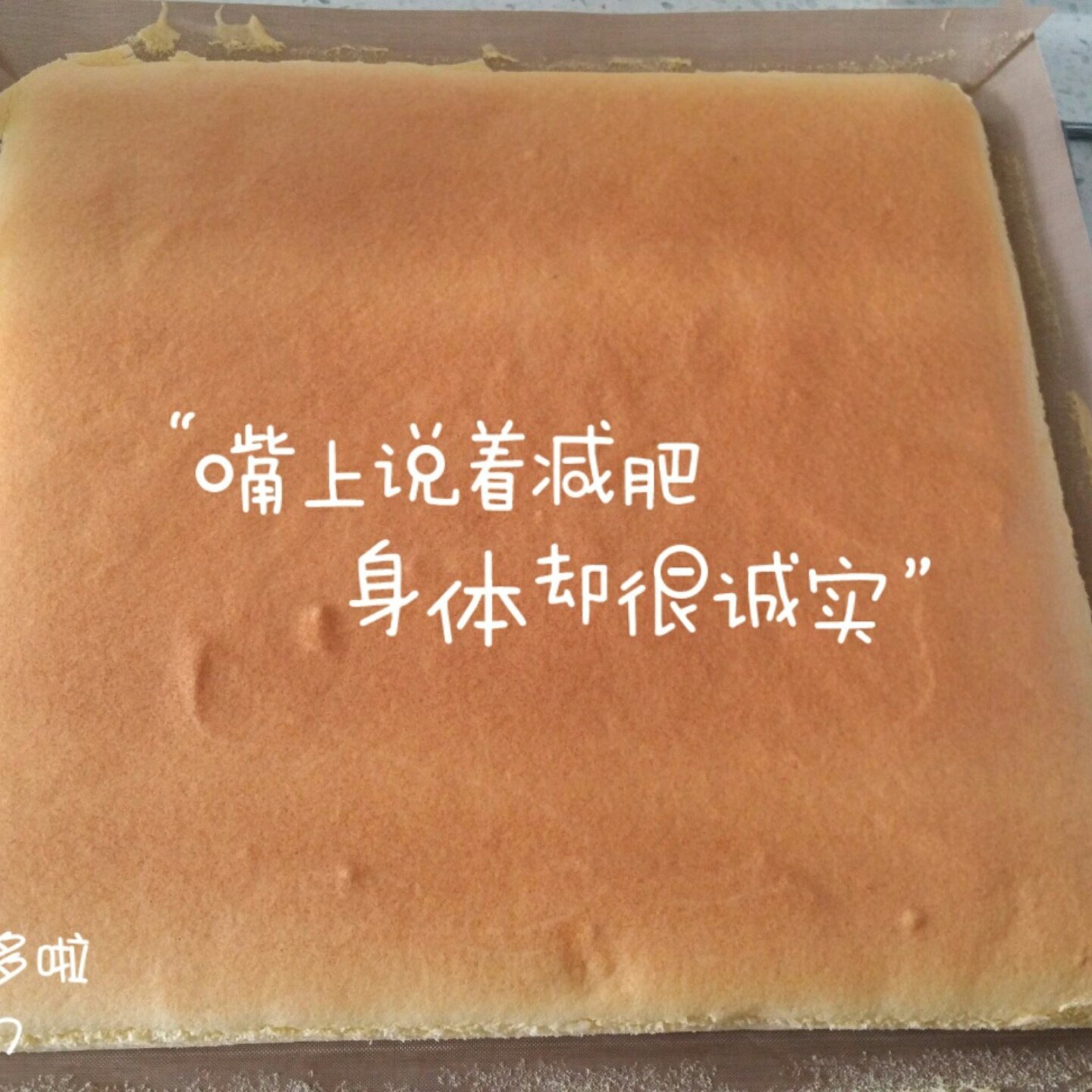 原味蛋糕卷