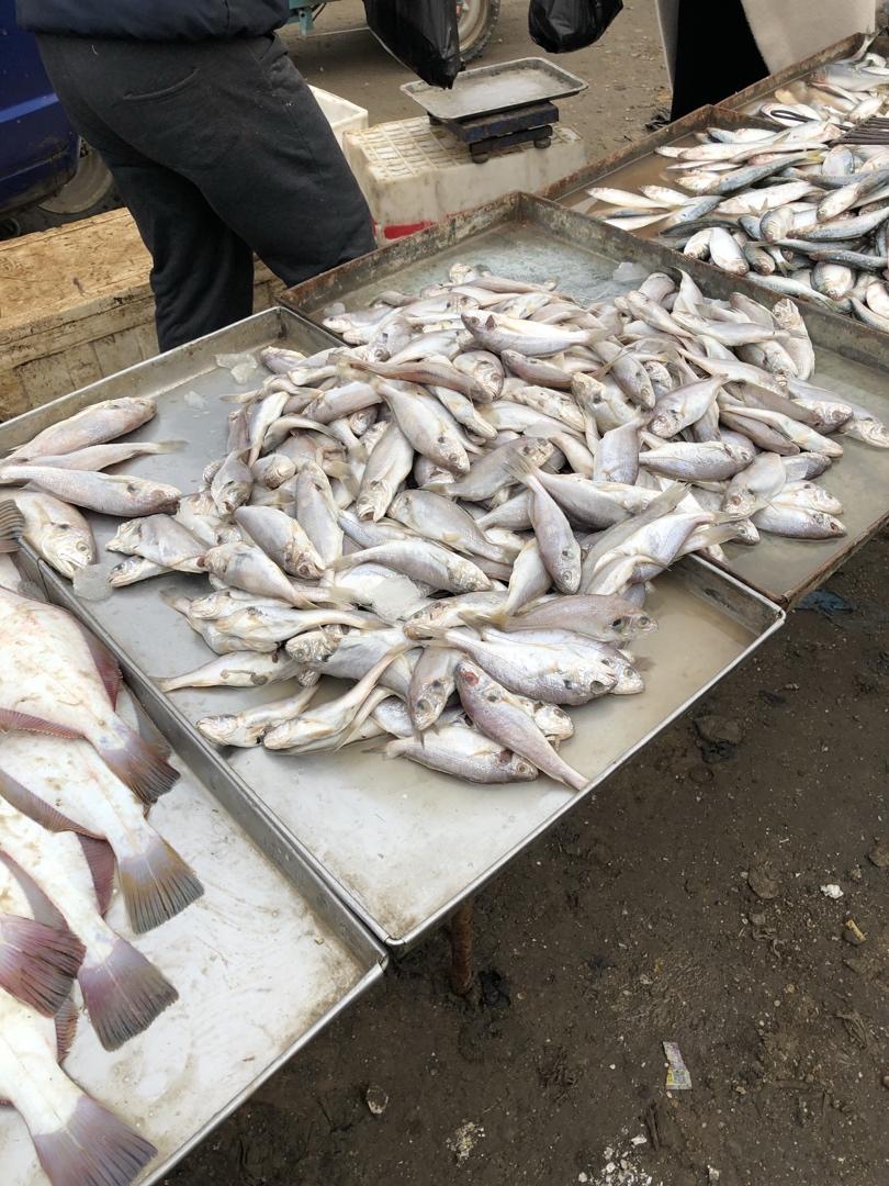 记录我做过的海鲜们