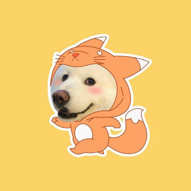 karen卡人