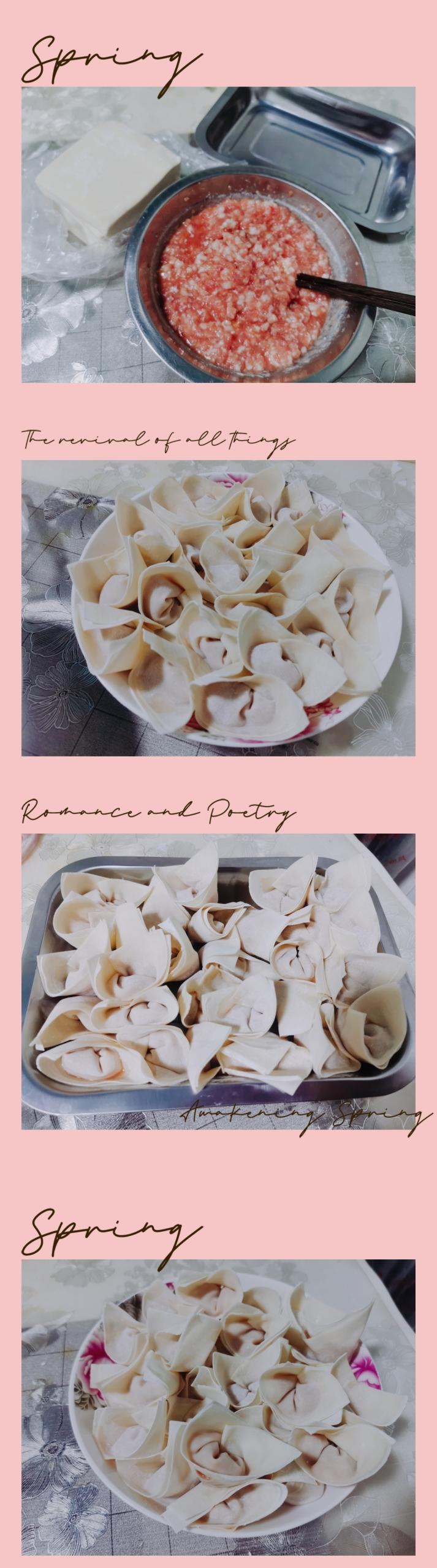 （4种）云吞包法