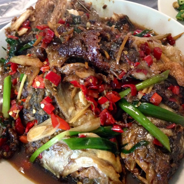 rannymay做的软烧鲫鱼