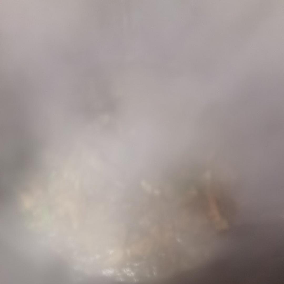 红烧鸭子