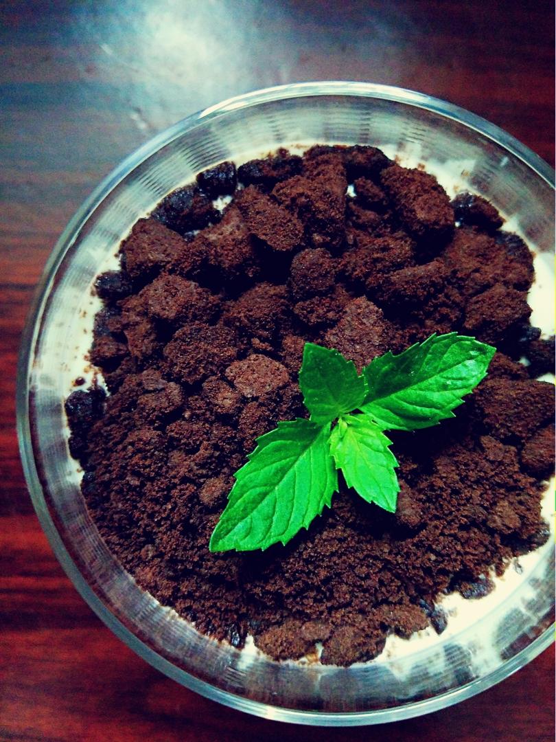 盆栽酸奶
