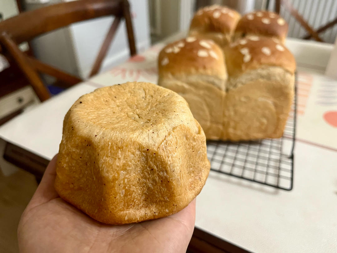 我爱的面包🍞🥯🥨🥪