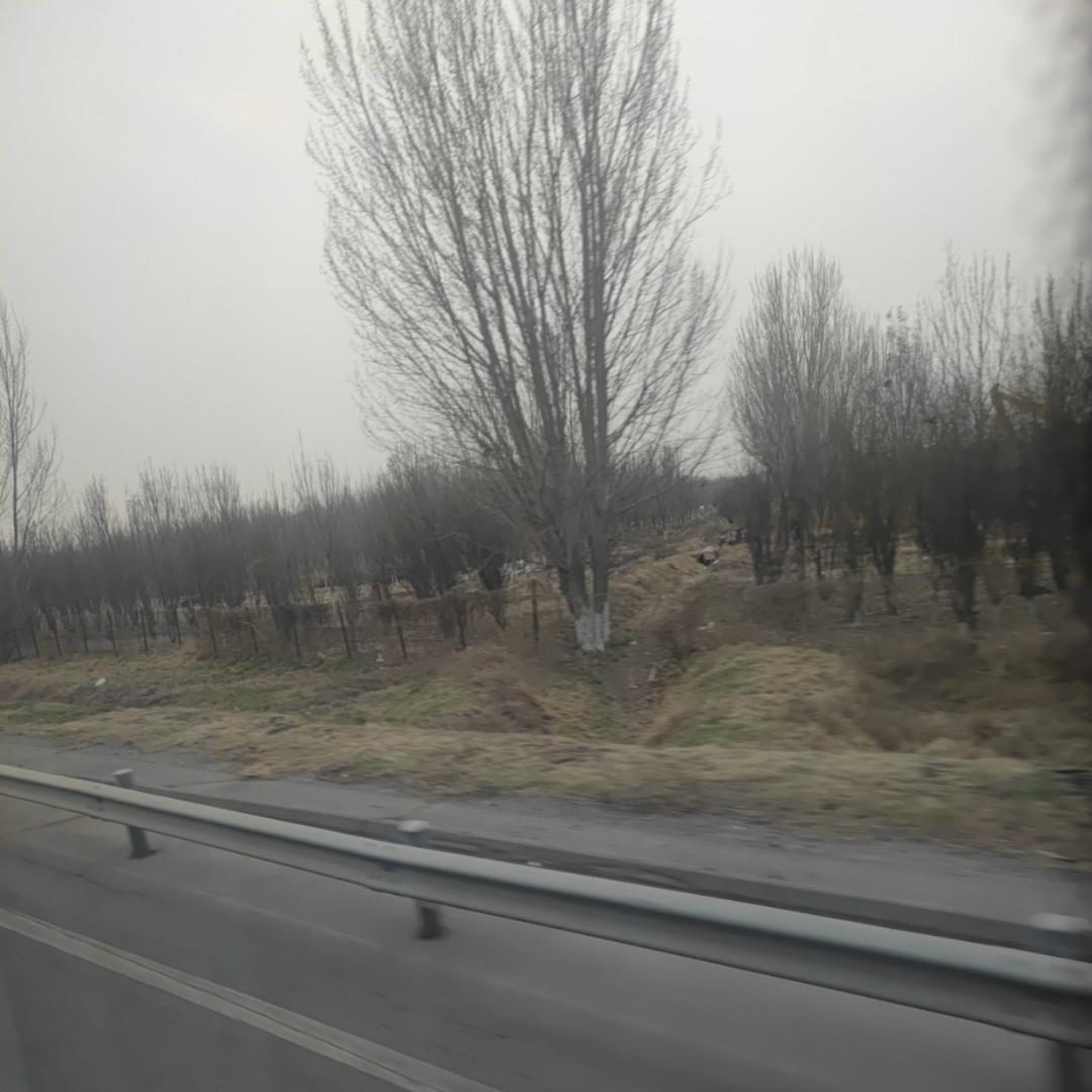 下厨房用户_飞向华中