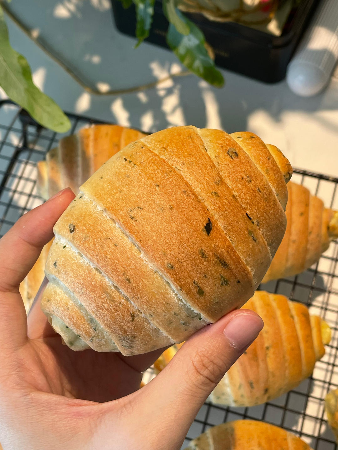 海苔盐面包-博世烤箱