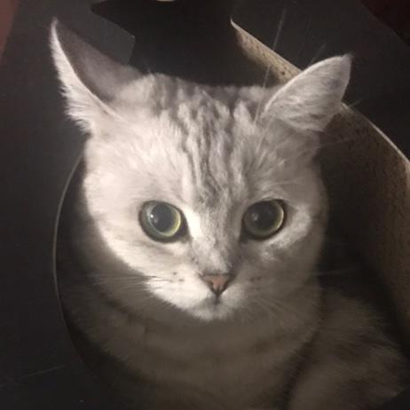 猇猇妈