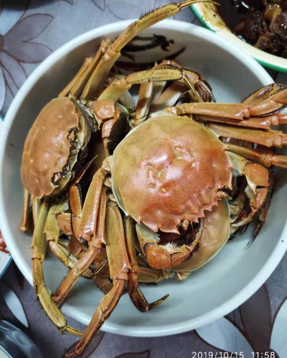 清蒸大闸蟹（确定过味道，是秋天来了）