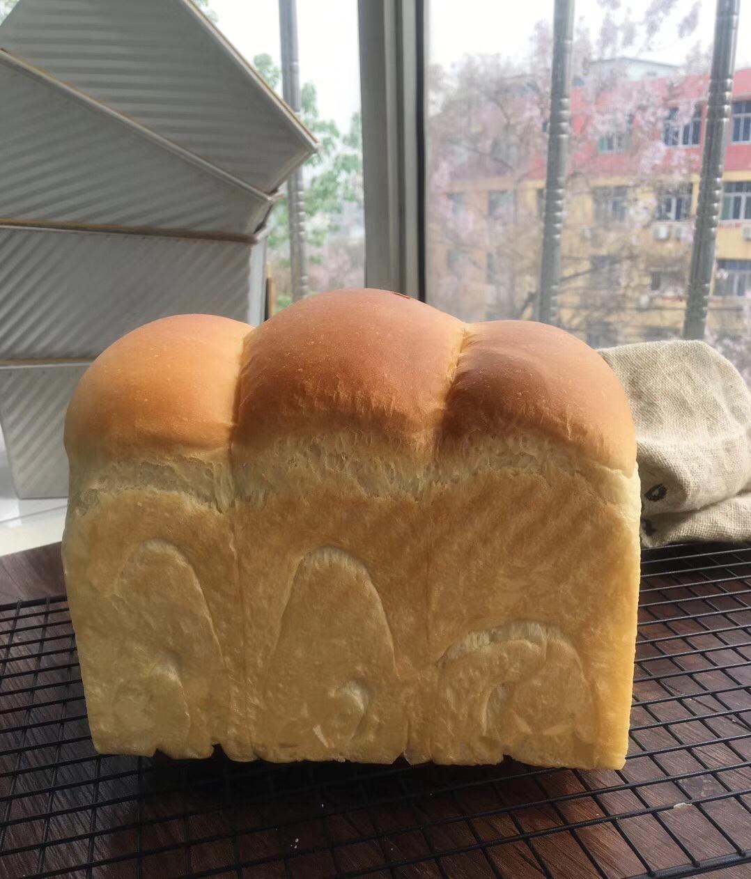 波兰种奶油吐司