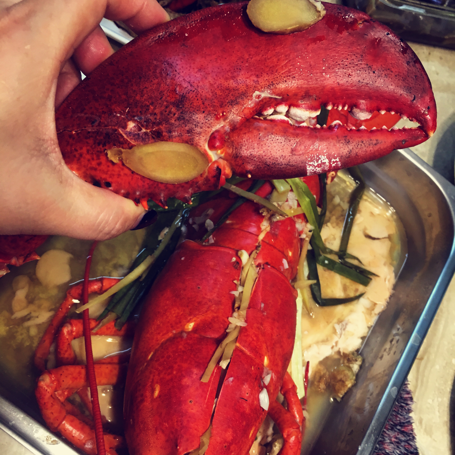 午餐•2016年5月1日