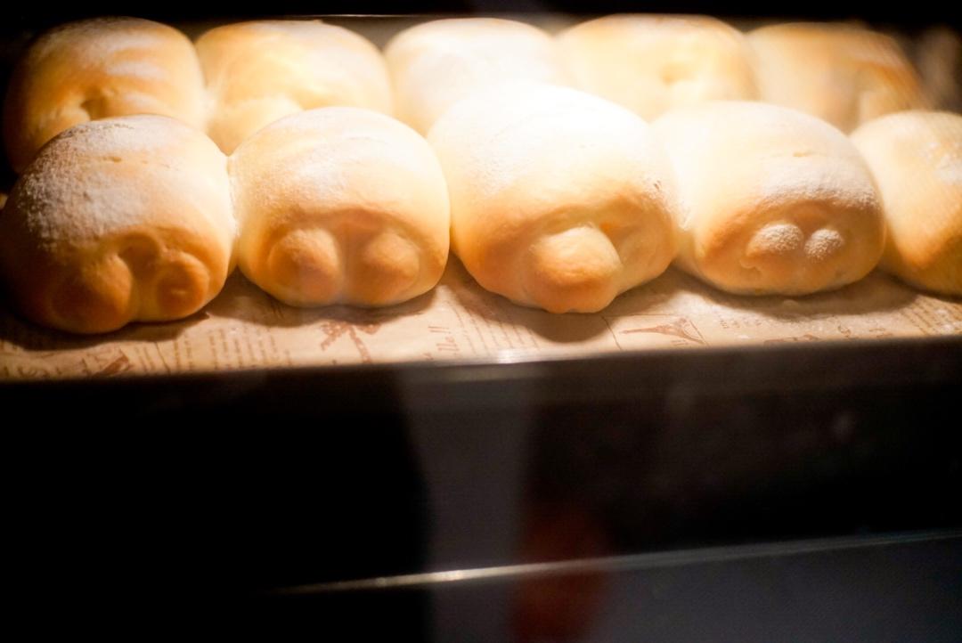 软到不知所措的牛奶卷