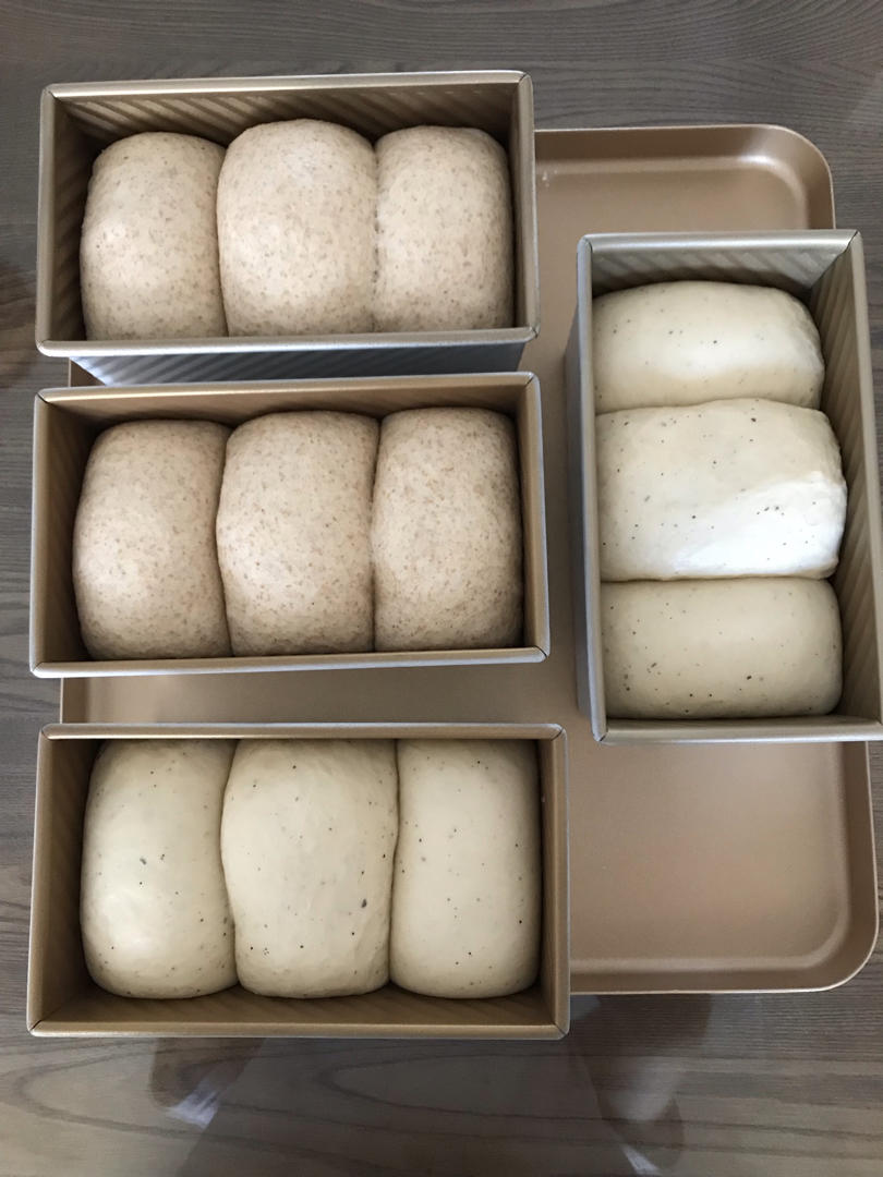 波兰种全麦吐司（40%全麦）