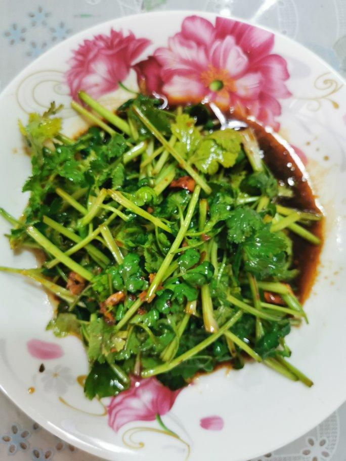 快手凉拌销魂香菜