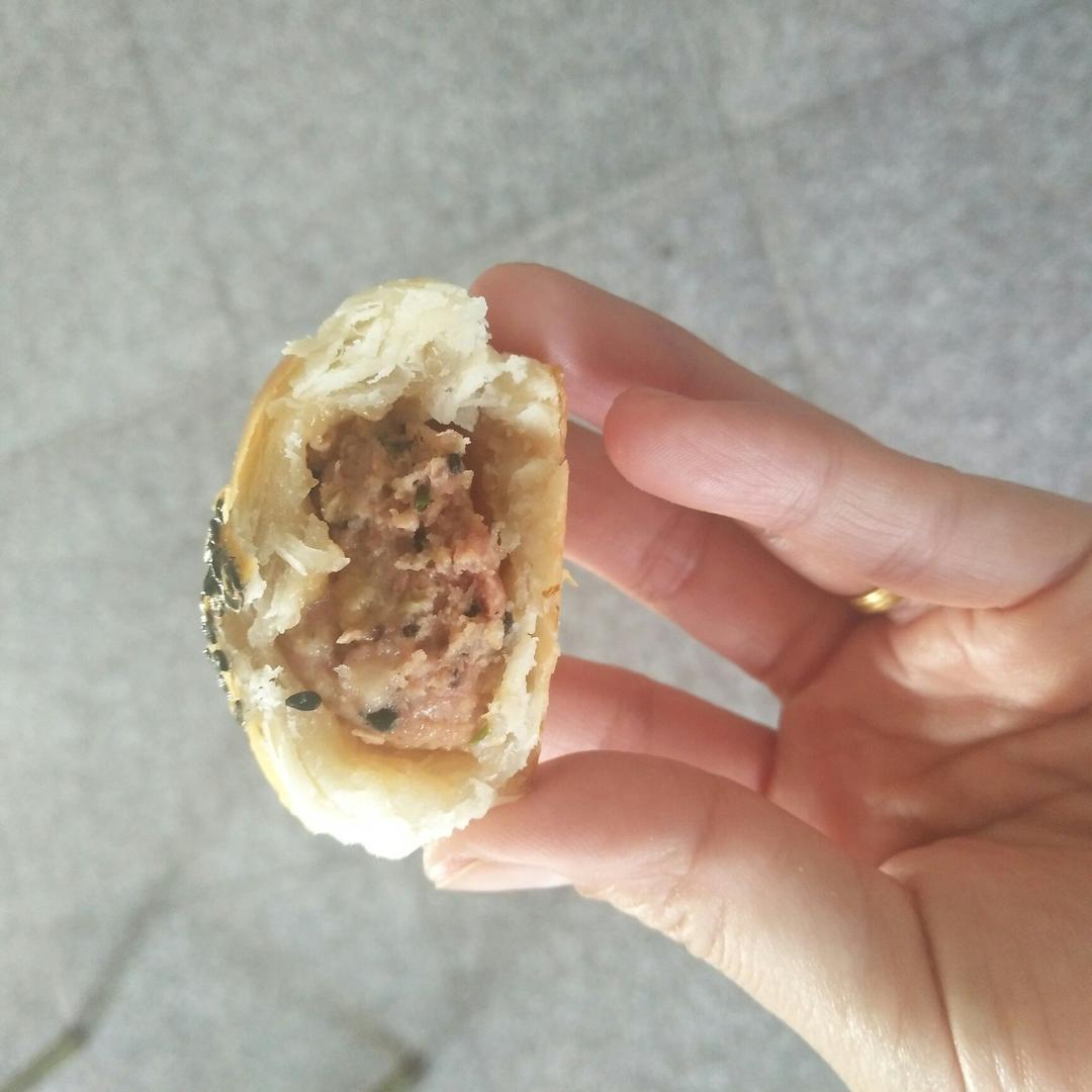 泳式鲜肉榨菜月饼