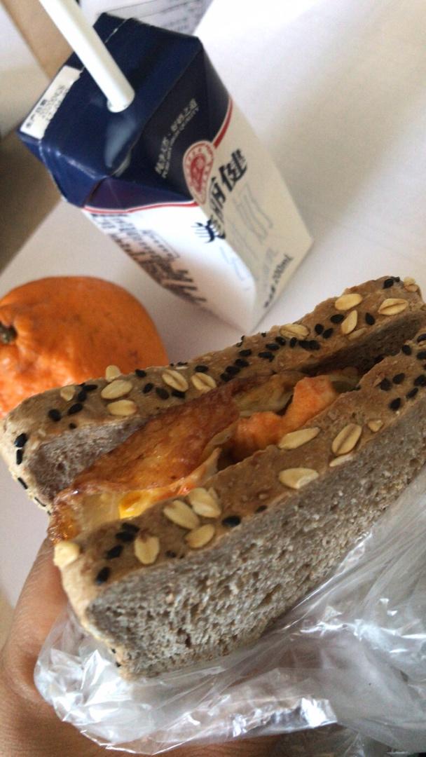 减肥期间饮食记录