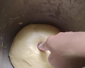 超软乎的波兰种芝士面包的做法 步骤6