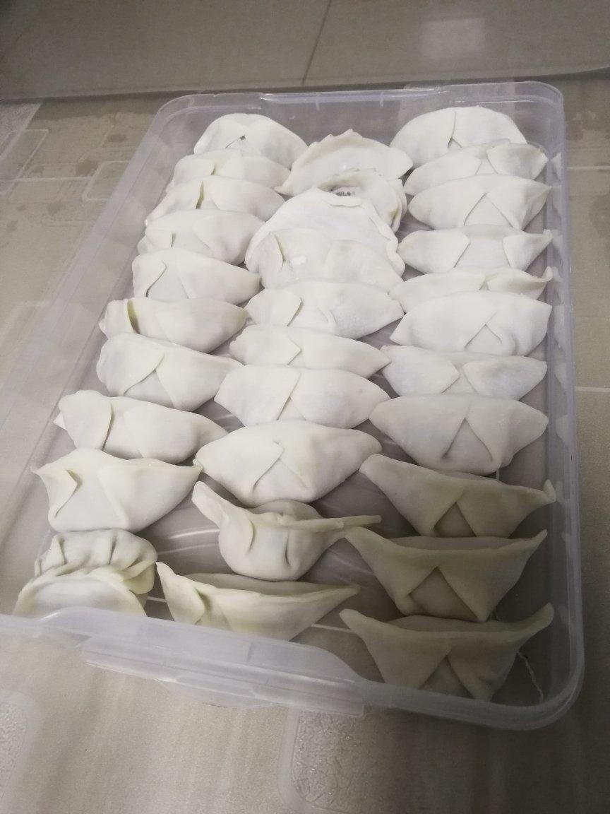 蚂蚁上树